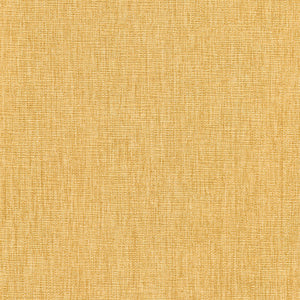 Daybreak Yellow - Andante Series Vinyl
