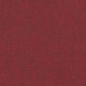 Spoiler Alert - Andante Series Vinyl