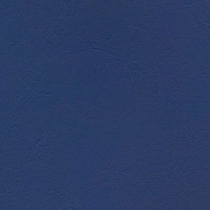 Ice Water - Windsong 2 Series Vinyl