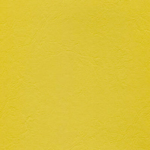 Jamaican Sun - Windsong 2 Series Vinyl