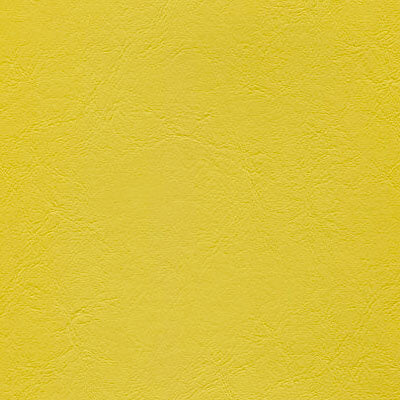Jamaican Sun - Windsong 2 Series Vinyl