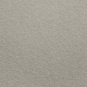 Light Natural Beige - Auto Headlining