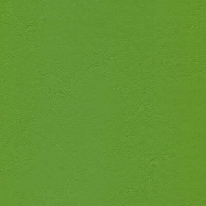 Lime Cooler - Windsong 2 Series Vinyl