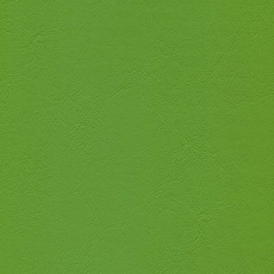 Lime Cooler - Windsong 2 Series Vinyl