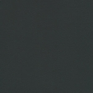 Night Rider - Vaquero Series Vinyl