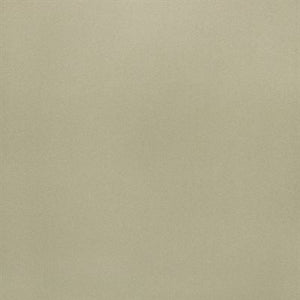 Quicksilver (Tan)  - Auto Headlining