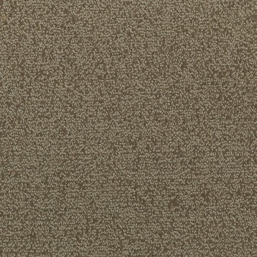 Wool Shear: Taupe - Aviation Carpet