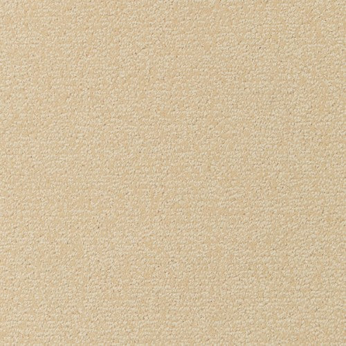 Wool Shear: Ivory - Aviation Carpet