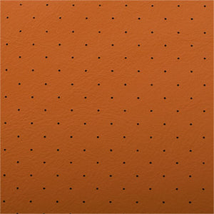 Perforation: Euro - Aviation Leather