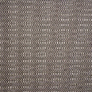 Chelan Carbon - Aviation Fabric