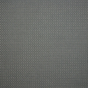 Chelan Steel - Aviation Fabric