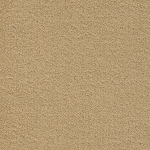 Soft Chamois - Color Study 36