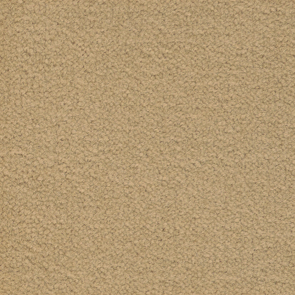 Soft Chamois - Color Study 36