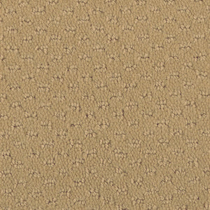 Soft Chamois - Hue-ology