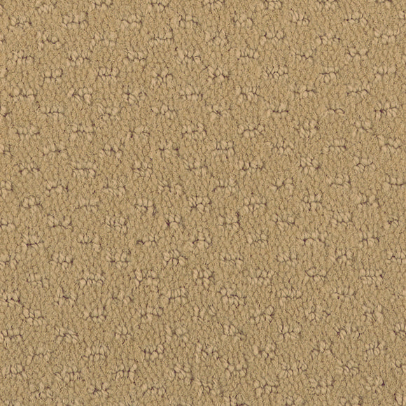 Soft Chamois - Hue-ology