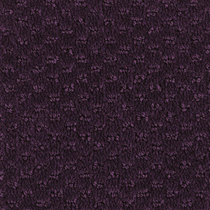 Rare Iris - Hue-ology
