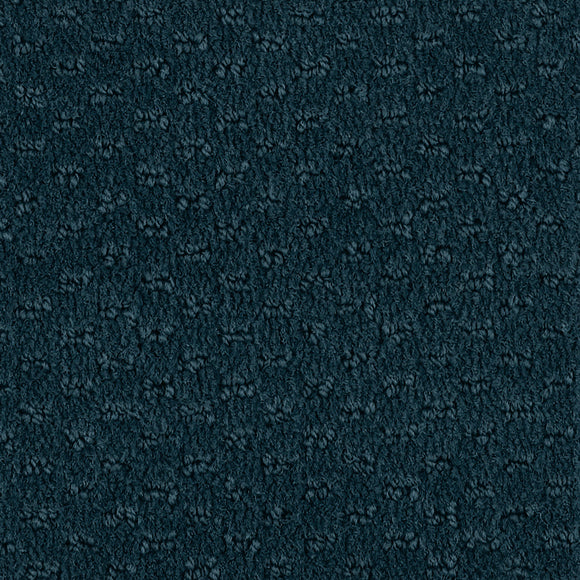 Polished Lapis - Hue-ology
