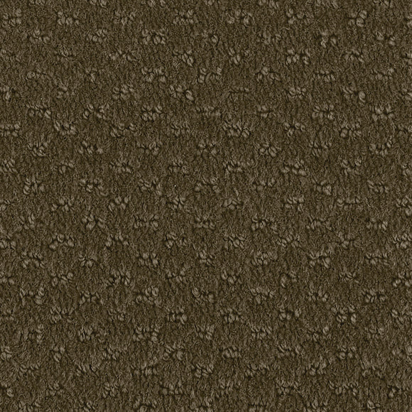 Aged Driftwood- Hue-ology