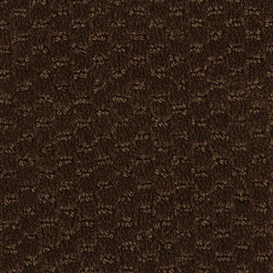 Dark Espresso - Hue-ology