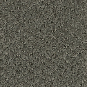 Mineral Grey - Hue-ology