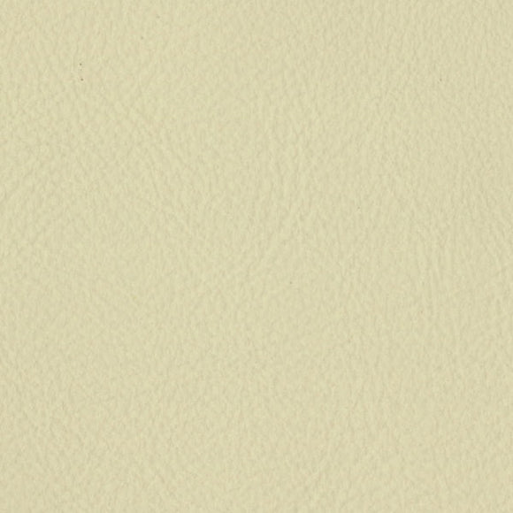 Cameo - Aircraft Leather