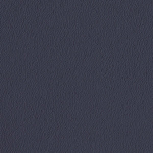 Regal Blue - Aircraft Leather